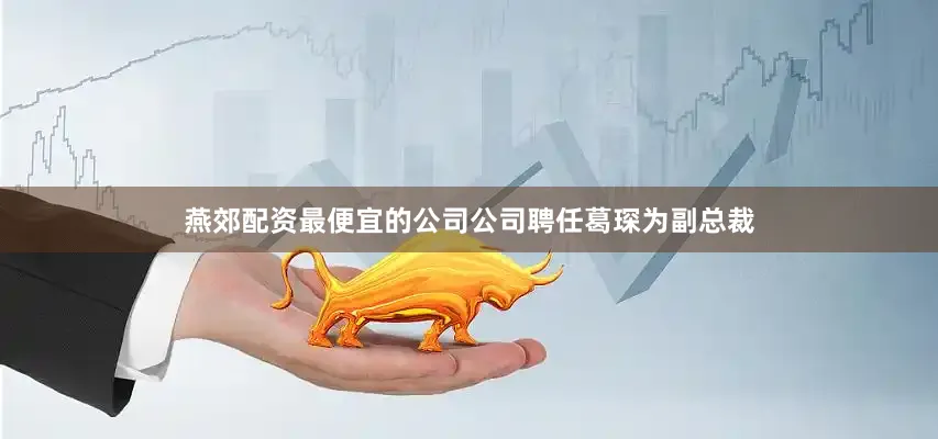 燕郊配资最便宜的公司公司聘任葛琛为副总裁
