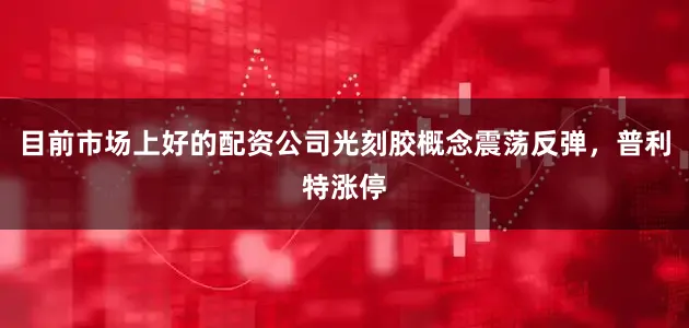 目前市场上好的配资公司光刻胶概念震荡反弹，普利特涨停