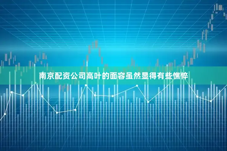 南京配资公司高叶的面容虽然显得有些憔悴